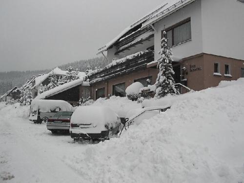 Haus Hubertus Hotel Winterberg Ngoại thất bức ảnh