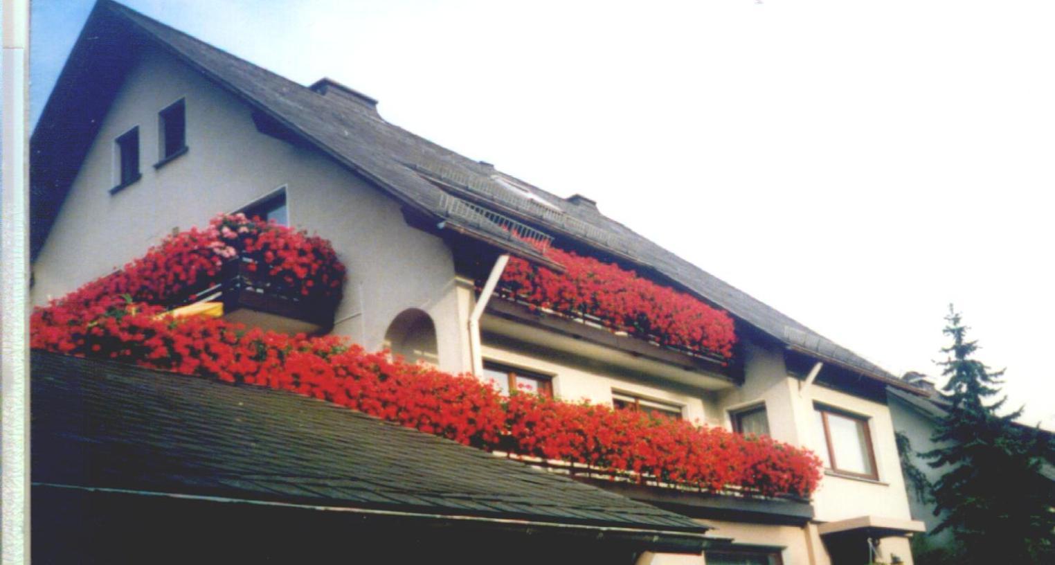 Haus Hubertus Hotel Winterberg Ngoại thất bức ảnh